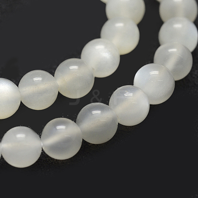 Natural White Moonstone Beads Strands G-P335-04-6mm-1