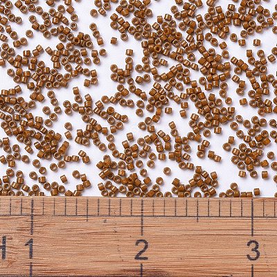 MIYUKI Delica Beads SEED-X0054-DB2109-1