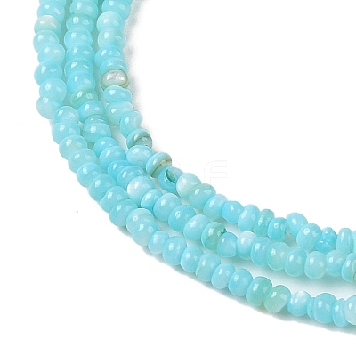 Natural Freshwater Shell Beads Strands SHEL-P017-01A-03-1