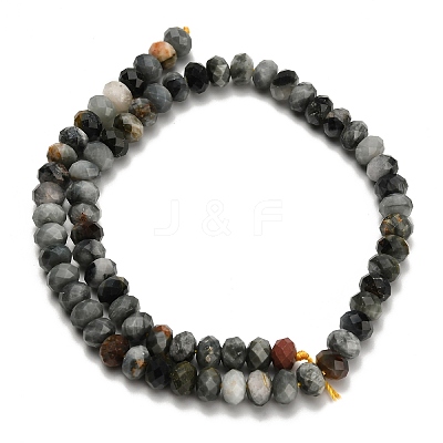 Natural Eagle Eye Stone Beads Strands G-Z111-A11-02-1