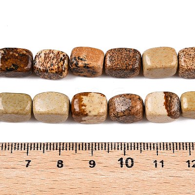 Natural Picture Jasper Beads Strands G-T138-93-1