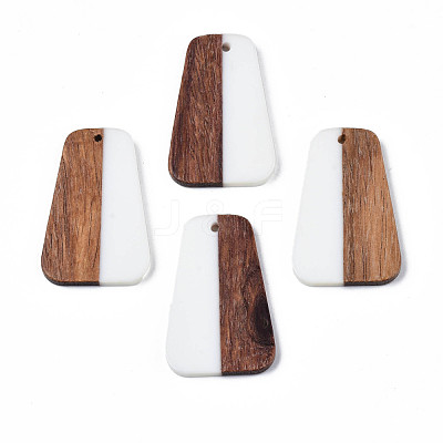 Resin & Wood Pendants RESI-N025-021-1