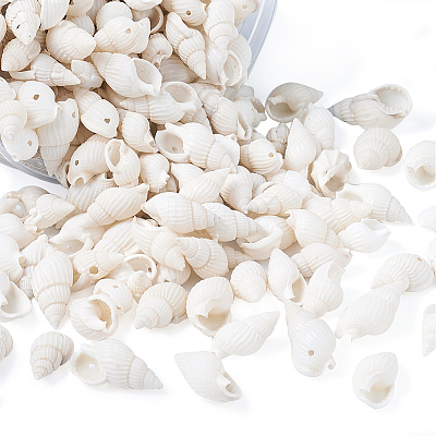 Natural Trumpet Shell Beads BSHE-KS0001-01-1