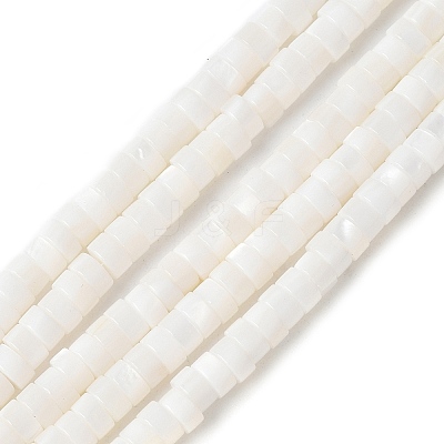 Natural Freshwater Shell Beads Strands X-SSHEL-C013-04B-1