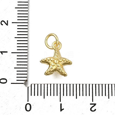 Brass Charms ZIRC-I070-085G-1