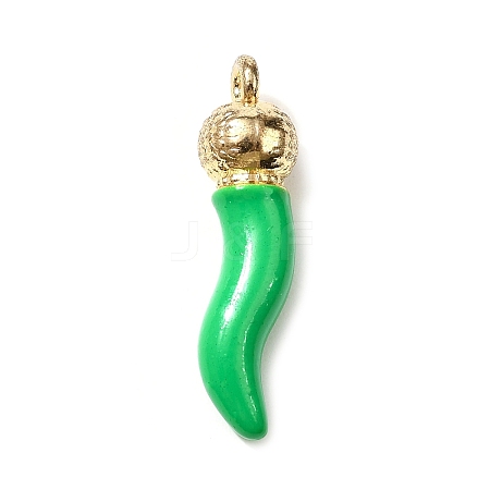 Opaque Resin Pendants RESI-V004-01C-1