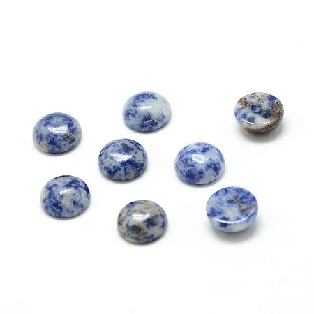 Natural Blue Spot Jasper Cabochons G-T020-6mm-03-1