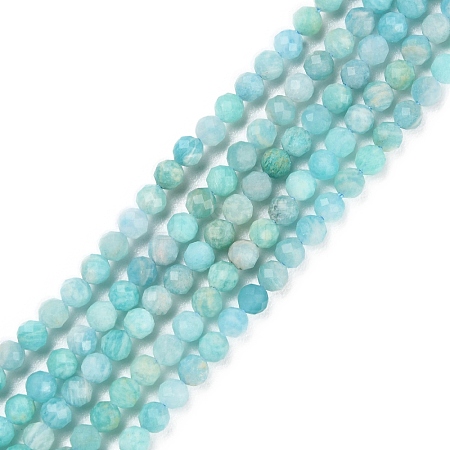 Natural Amazonite Beads Strands X-G-P500-01B-01-1