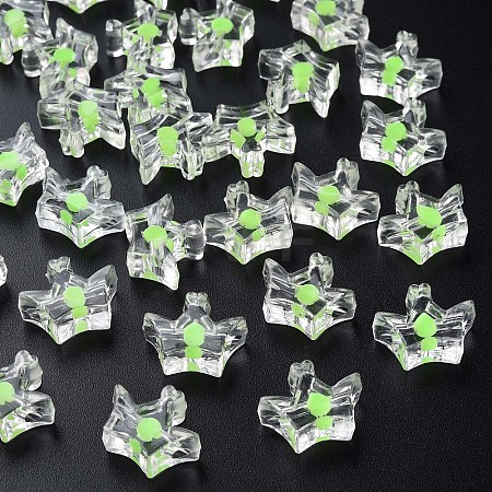 Transparent Acrylic Beads LS-MACR-S373-105-B06-1