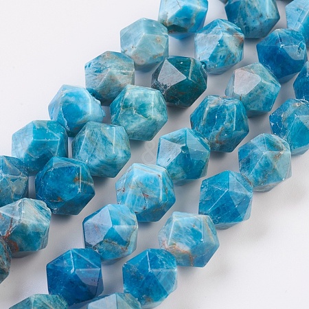 Natural Apatite Beads Strands G-F568-025-10mm-1
