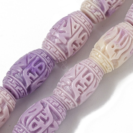 Synthetic Shell Dyed Carved Beads Strands SHEL-I001-03A-01-1