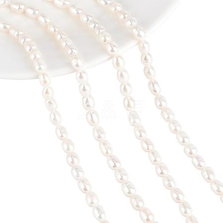  2 Strands Natural Cultured Freshwater Pearl Beads Strands PEAR-NB0001-12-1