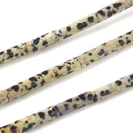 Natural Dalmatian Jasper Beads Strands X-G-F247-21-1