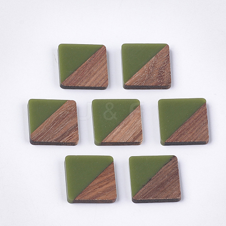Resin & Wood Cabochons X-RESI-S358-90C-1