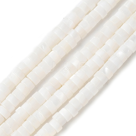 Natural Freshwater Shell Beads Strands X-SSHEL-C013-04B-1