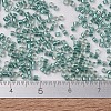MIYUKI Delica Beads SEED-MY11-DB1767-4