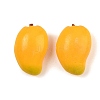 Fruit Series Opaque Resin Beads RE-CBAC4C7-11E-1