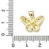 Brass Pendants KK-I379-14G-02-3