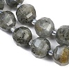 Natural Labradorite Beads Strands G-G182-B02-06-4