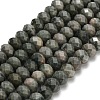 Natural Green Wood Lace Stone Wooden Jasper Beads Strands G-Z111-A15-02-3