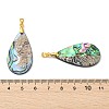 Natural Paua Shell/Abalone Shell Pendants PALLOY-JF05570-3