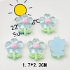 Translucent Resin Decoden Cabochons LS-PW-WG80860-01-1