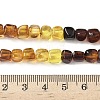 Natural Amber Beads Strands G-L095-E01-02-5