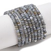 Natural Freshwater Shell Beads Strands X-SHEL-P017-01A-13-1