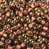 Glass Seed Beads SEED-H002-B-D204-3