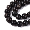 Natural Biotite Beads Strands G-Q616-01E-4