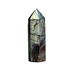 Point Tower Natural Labradorite Healing Stone Wands PW-WG88898-02-5