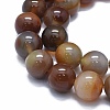 Natural Agate Beads Strands G-I245-70B-03-3