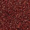 MIYUKI Delica Beads X-SEED-J020-DB0601-3