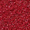 MIYUKI Delica Beads SEED-X0054-DB0214-2