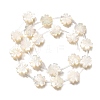 Natural White Shell Beads BSHE-Z008-07-1