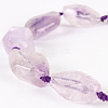 Natural Amethyst Gemstone Bead Strands G-E218-06-1
