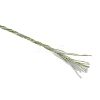 12-Ply Polyester Cords X1-OCOR-TAC0008-33B-2