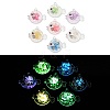 Transparent Luminous Acrylic Pendants TACR-Z002-02-1
