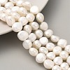 Natural Cultured Freshwater Pearl Beads Strands PEAR-A006-09G-2