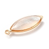 Brass Enamel Pendants X-KK-K252-10G-01-4