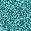 TOHO 6/0 Round Beads X-SEED-TR06-PF0569-3