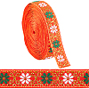7M Flat Ethnic Style Polyester Ribbon OCOR-WH0046-74B-1