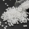 TOHO 6/0 Round Beads SEED-XTR06-0041F-1