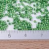 MIYUKI Delica Beads Small SEED-X0054-DBS0046-4