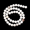 Round Natural Magnesite Beads Strands G-M138-42-A-5