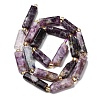 Natural Lepidolite/Purple Mica Stone Beads Strands G-D353-A17-3