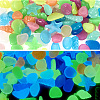 Glow in The Dark Rocks LUMI-TA0001-03-2