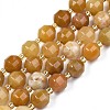 Natural Topaz Jade Beads Strands G-N326-100-03-1