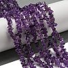 Natural Amethyst Beads Strands X-G-G0003-B44-2