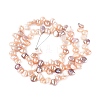 Natural Cultured Freshwater Pearl Beads Strands PEAR-N014-04P-3